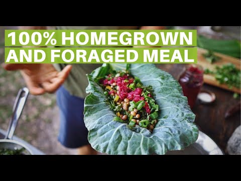 100% Homegrown and Foraged Cooking Series with Pete Kanaris GreenDreamsFL