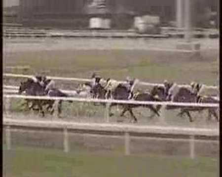 capannelle che figata