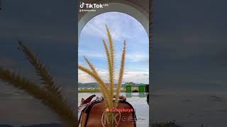 Download lagu 28 Mei 2021 mp3