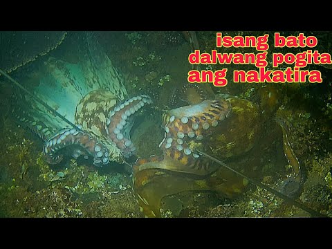 ep472 Dive2 isang bato dalwang malaking pogita ang nakatira jackpot
