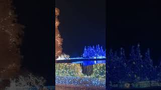 イルミネーション見て来た