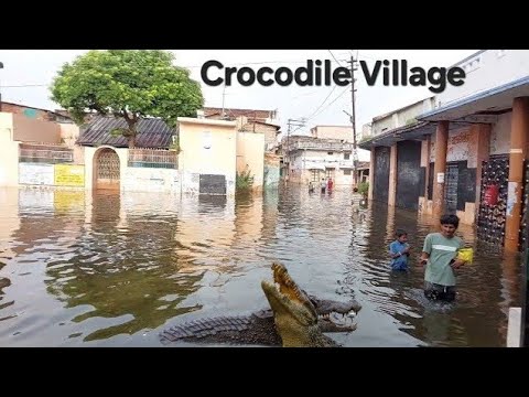 Visiting the Crocodile Village of India.