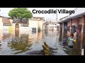 Visiting The Crocodile Village Of India