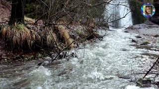 20-minute River Yoga Meditation | Best Use of Your 20-minutes