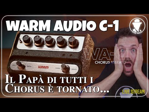 Warm Audio WA-C1 Chorus Vibrato 2024 - Present - Grey image 7