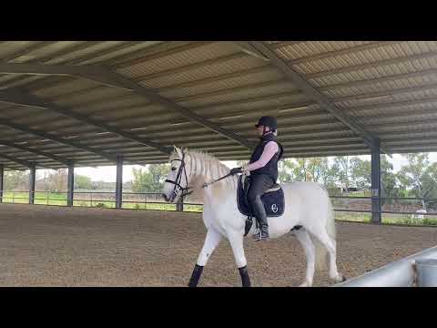 Rafael Soto Clinic 2 8 2025