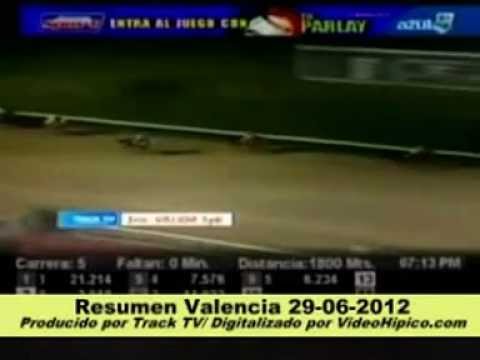 Resumen Valencia 29-06-2012