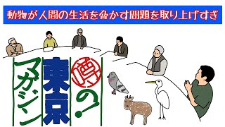 BSに移行しておじさん度がパワーアップ！『噂の！東京マガジン』