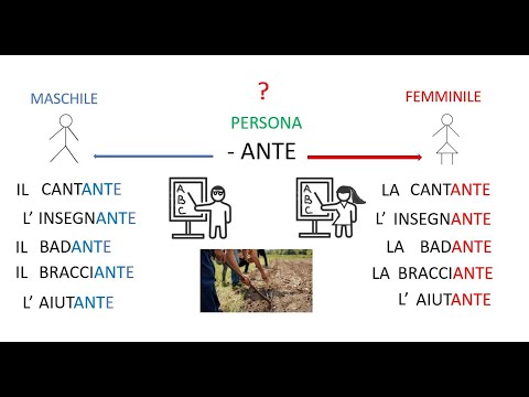 17. Nome singolare in -ANTE, -ENTE. Plurale dei nomi in -E.