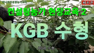 -대한민국 체리 발전소-  체리원 컨설팅농가 현장교육 2  KGB수형