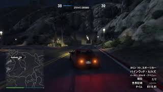 PS5 GTA5　18日目　参加型　警察エンジョイジョブ