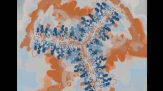 New Planet ~ Medeski, Martin & Wood