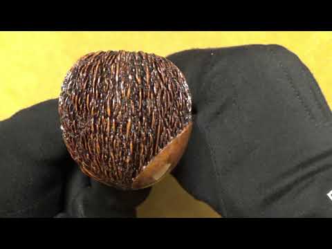 Pipa Amorelli Penna di San Michele - Half Bent Apple (AM182)