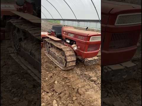 Fiat 605C Trattore Working in Greenhouse: Potenza pura