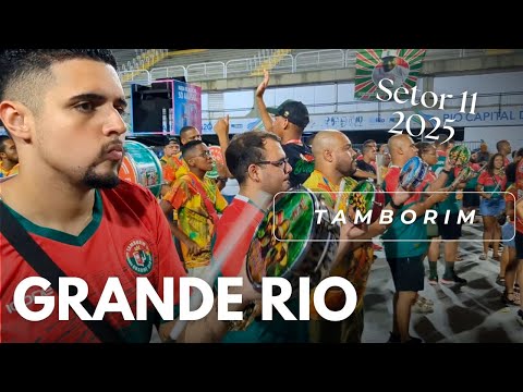 Grande Rio Tamborim 2025, Setor 11