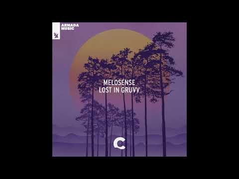 Melosense - Lost In Gruvv (Extended Mix)