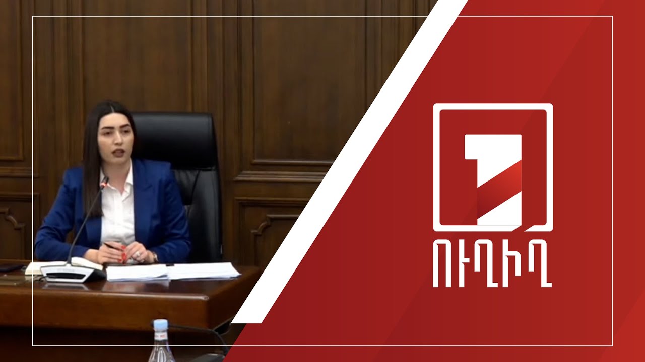 Բյուջե-2025-ի նախագծի քննարկումներ. զեկուցում է ՆԳ փոխնախարարը | ՈՒՂԻՂ