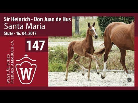 147 Santa Maria  Stute v.  Sir Heinrich - Don Juan de Hus