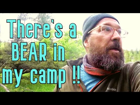 My hardest solo BACKPACK in a decade  |  A bear wandered into my backcountry camp - Part 1