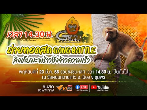 คลิกเพื่อดูคลิปวิดีโอ