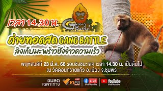 [LIVE] รอบชิงชนะเลิศ การแข่งขัน Gang Battle ลิงเก็บมะพร้าว ชิงจ้าวความเร็ว | 23 มี.ค. 66