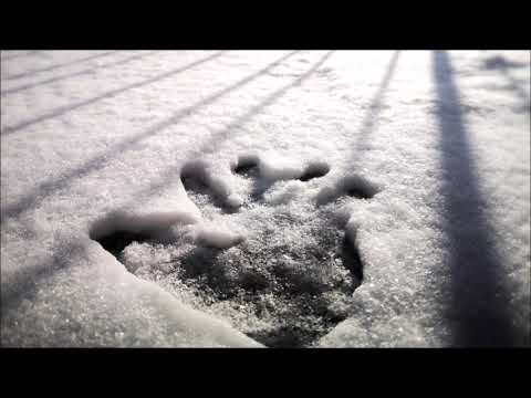 Stopa v čase - Ocean Walker