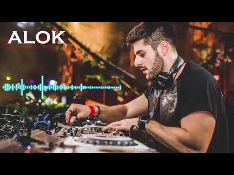 ALOK melhores musicas eletronicas de DEEP HOUSE MIX