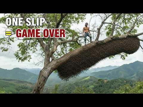 One Slip = Game Over | Extreme Wild Honey Hunt on a Giant Tree