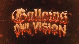 Cover art for Owl Vision - Gallows