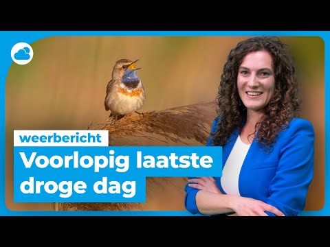 Weerbericht: komende dagen geregeld regen