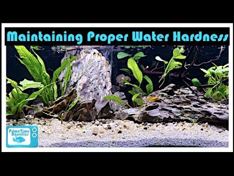 Fish Tank Water Hardness Fully Explained: Don't Kill Your Fish!