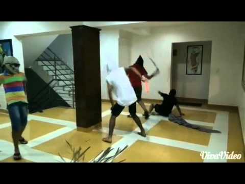 Harlem shake on what does the fox say