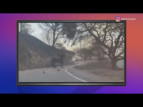Video shows teen ride horse to safety during the Palisades Fire