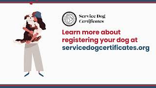 Service Dog certificates, ID Card and Documentation: Empowering Service Dogs and their Owners