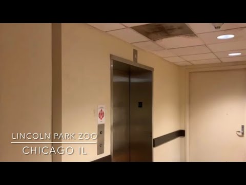 Modded US Soft Touch Hydraulic elevator at Lincoln Park Zoo in Chicago IL