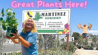 This Amazing Nursery Just Keeps Growing!