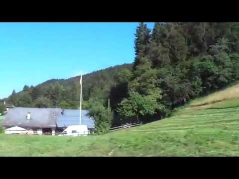 林間学校の様な自然環境のサマーキャンプ【スイス留学.com】