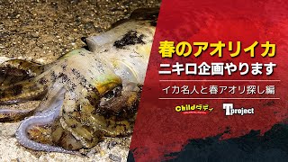 【アオリイカ】ニキロ企画開幕いたします！