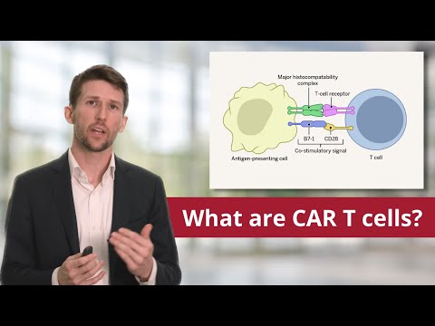 Lymphoma: Overview of Chimeric Antigen Receptor (CAR) T cells