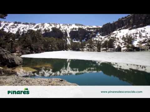 Pinares Desconocido - Laguna Negra