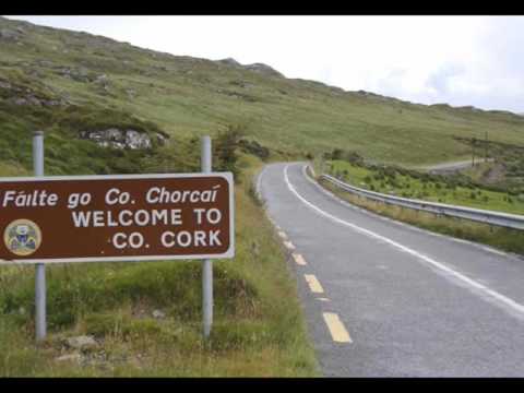 funny dating site videos