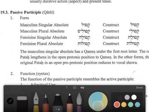 Elementary Hebrew - Chapter 19