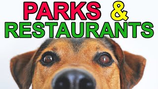 Pet Friendly Things To Do In Gainesville Florida