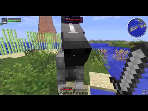 Let's All Play Test Pack, Please Ignore Episode 1: A New Server