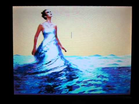 C64 Golden Port Plate Test