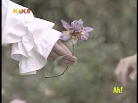 Wissen macht Ah!: Was kann man durch die Blume sagen?