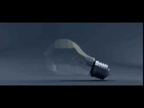 Morbus Zónicko - Timón y Pumba (Lyric Video)