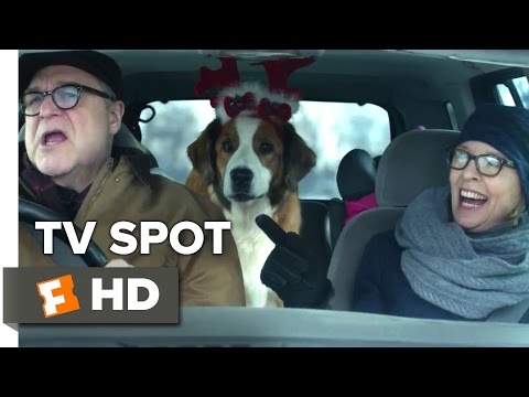 download lagu mp3 mp4 Marisa Tomei Christmas Movie, download lagu Marisa Tomei Christmas Movie gratis, unduh video klip Marisa Tomei Christmas Movie