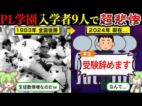 Nuvola アプリの教育言語.svg