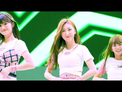 180816 구선하 - 푱푱